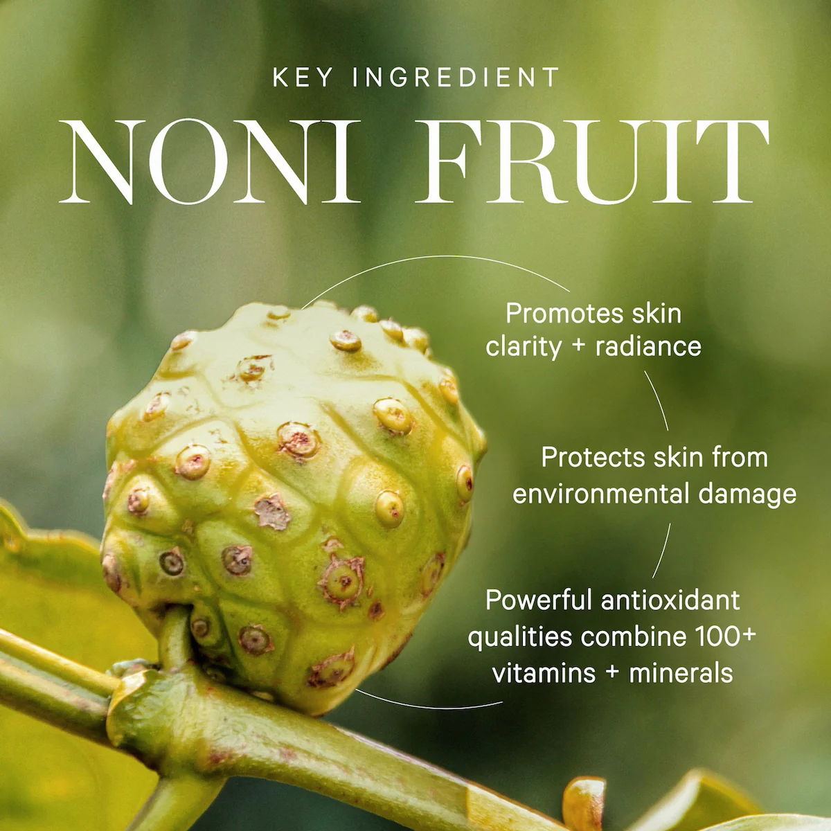 Noni Radiant Eye Oil - Image 4